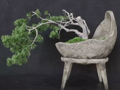 Decorative pine tree bonsai 3D model
