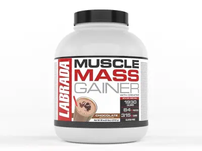 Protein Powder 3D model