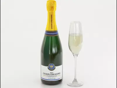 Champagne with glass 3D model