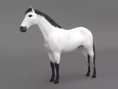 White Horse 4K 3D model