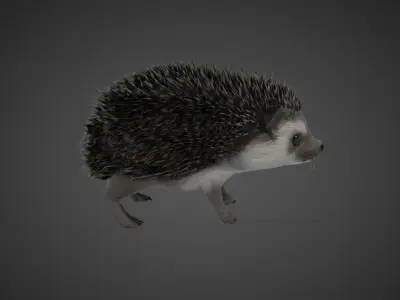 Hedgehog Stylized Brown 3D Character Low-poly 3D model