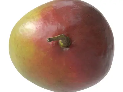 Mango 3D model