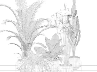 Plants collection 001 3D model