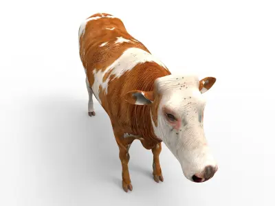 3D Cow Rigged cattle  Low-poly 3D model