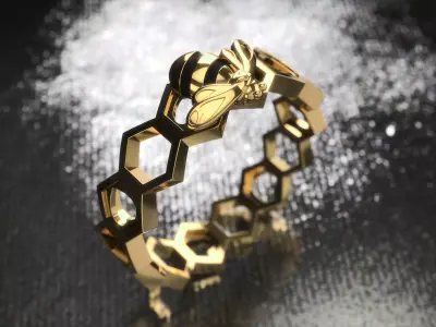 Ring 0210 3D print model