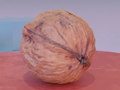 Walnut fruit 07 high-poly 3D model