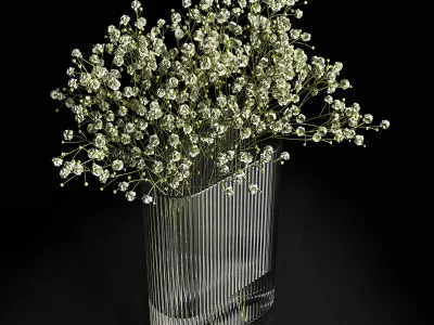 A bouquet of gypsophila 3D model