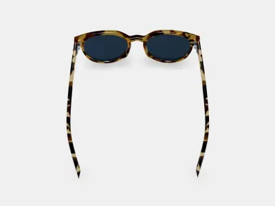 Wright Sunglasses in Walnut Tortoise 3D model