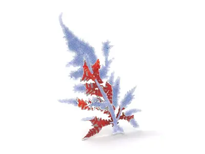 Red Fern model pack Low-poly 3D model