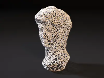 Statue Of David Michelangelo Head 3D print model