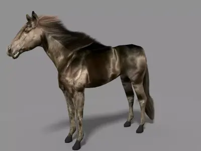 Black Stallion Low-poly 3D model