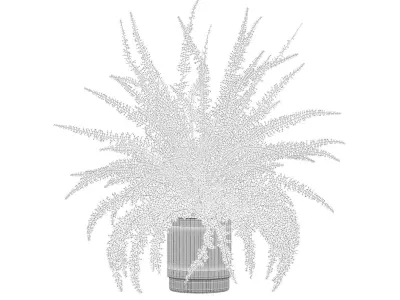 Fern in modern flower pot 3D model
