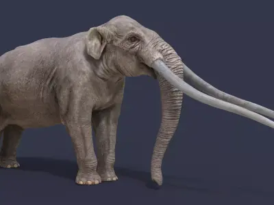 Anancus arvernensis Low-poly 3D model