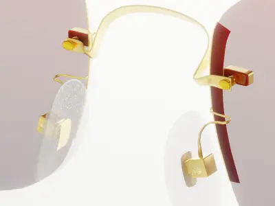 Luxury Fashion Sunglasses 3D model