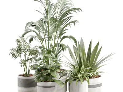 plants collection set 03