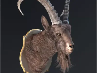 Goat trophy  3D model