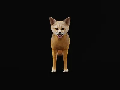 Kit Fox Low-poly 3D model