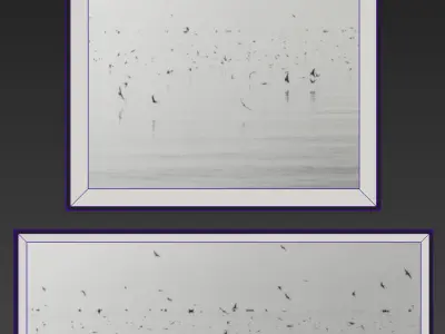 RH NATHAN DEHART UGANDA BIRDS 3D model