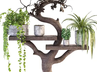Wooden Shelf Planter 3D model
