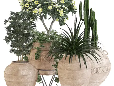 Indoor Plant Set 02 3D model