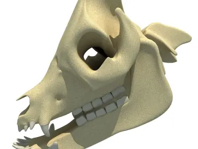Pig Skull 3D model
