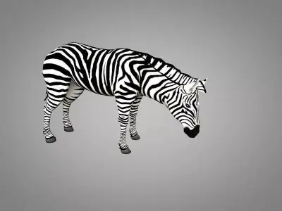 Zebra running Low-poly 3D model