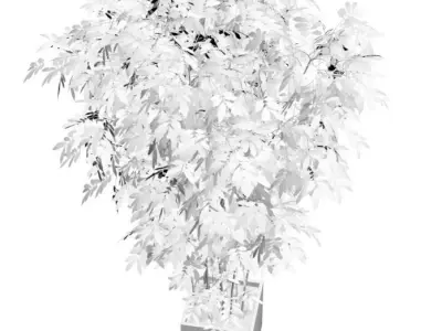 Young bamboo bunch in steel pot 3D model