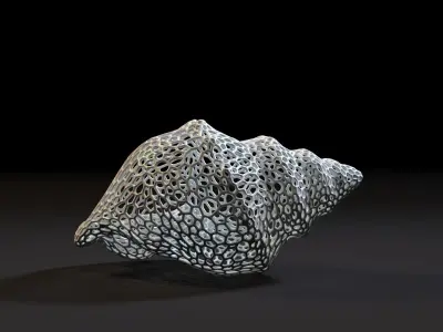 Seashell  3D print model