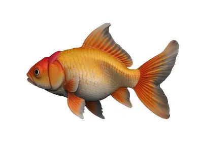 Goldfish Low-poly 3D model