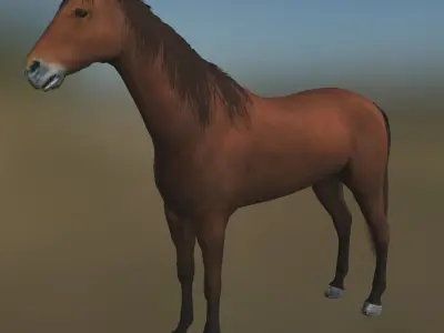 Rigged Horse With Saddle and Various Animation Low-poly 3D model