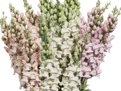 Flower In Vase 27 3D model