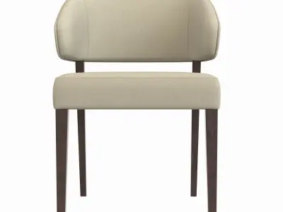Kaya Dining Chair 3D model