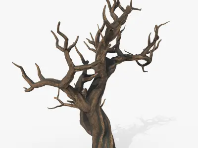 Aquarium Snag V1 1 3D model