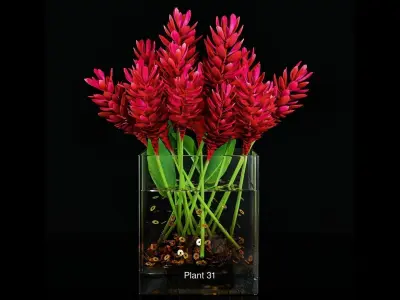 Plant collection 4 flowers in glass vase