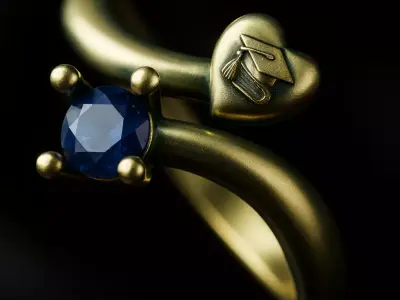 anillo gradiacion  3D print model