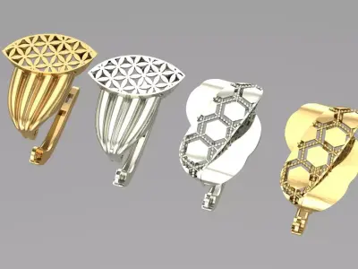 Two Stunning earrings 3D print model