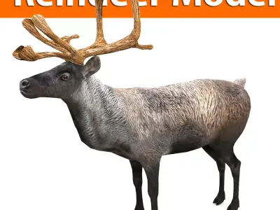 Reindeer 3d model game ready with antlers Low-poly 3D model