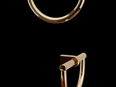 Towel Holder Decor Walther Century Gold with towel Free 3D model