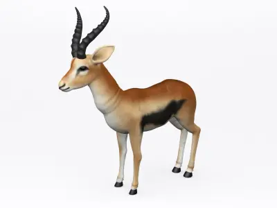 3D ANTELOPE Low-poly 3D model