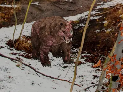 Zombie bear Low poly game ready  Low-poly 3D model
