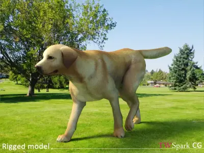 Low poly Labrador Dog Model Rigged Low-poly 3D model