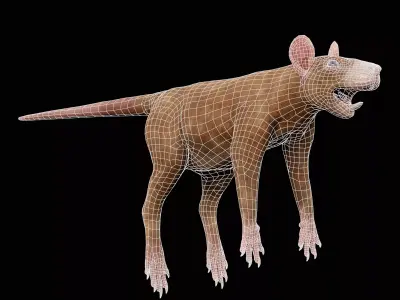 Rat - Animal  Low-poly 3D model