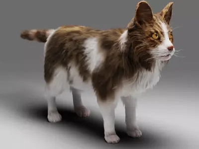 Fur Calico Cat V03 No Rigged Low-poly 3D model