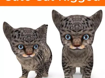 Wild Cute cartoon Cat Rigged Low-poly 3D model
