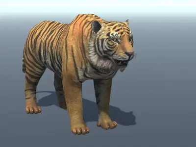 Lowpoly Tiger Rigged and Animated for VR AR Games Low-poly 3D model