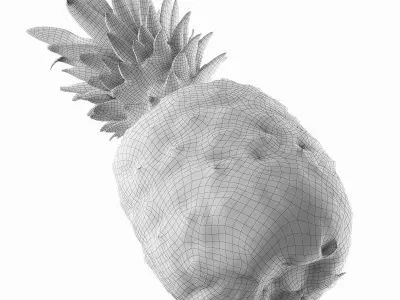 Pineapple 3D model