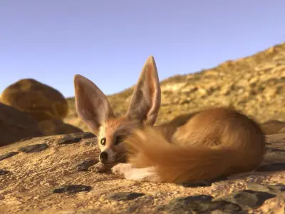 Fennec Fox Realism 3D model Low-poly 3D model