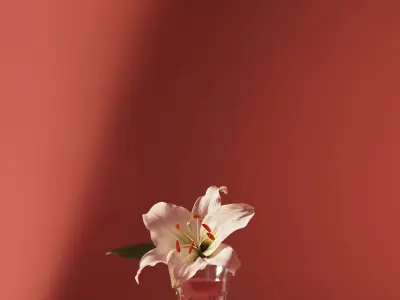 Small flowers collection 3D model