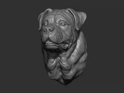 Rottweiler bust dog 3D print model