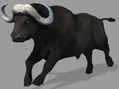 BUFFALLO RIGGED ANIMATED 12 Low-poly 3D model